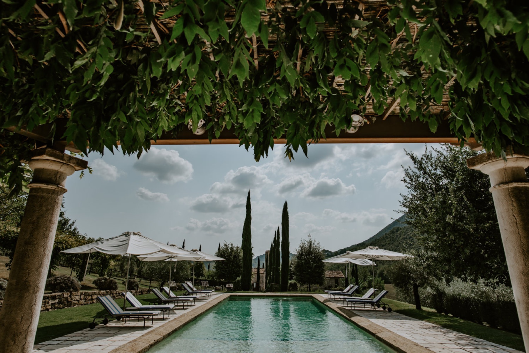 A pool framed by cypress trees and a stone pergola